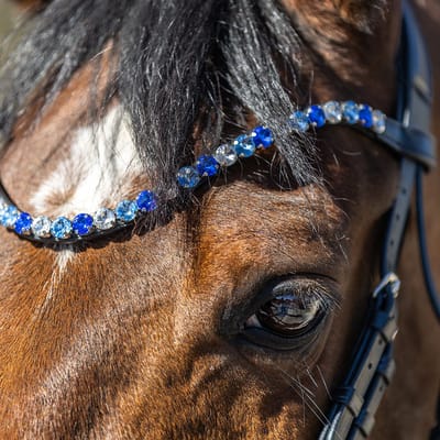 Horsegear Frontriem Horsegear Hgsalerno Blauw-lichtblauw