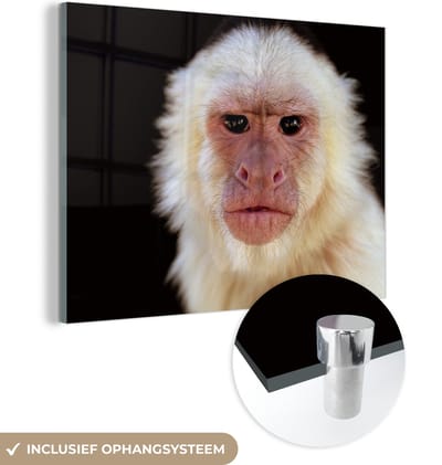 MuchoWow® Glasschilderij 160x120 cm - Schilderij acrylglas - Aap - Vacht - Zwart - Foto op glas - Schilderijen
