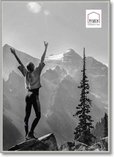 HAES deco - Kunststof fotolijst 50x50 zilver Easy Frame - EF18S