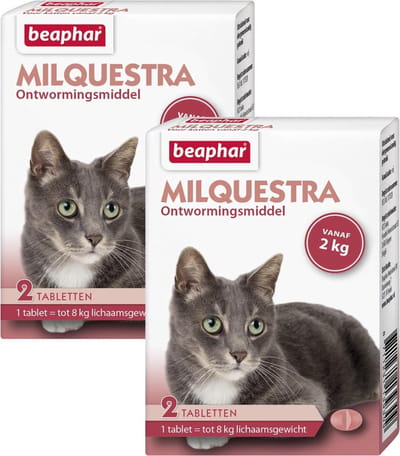 Beaphar Milquestra Kat - Anti wormenmiddel - 2 x 2 tab 2 Tot 12 Kg