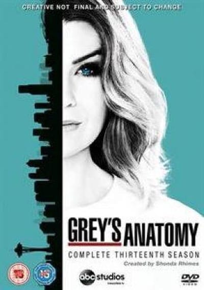 Grey's Anatomy S13
