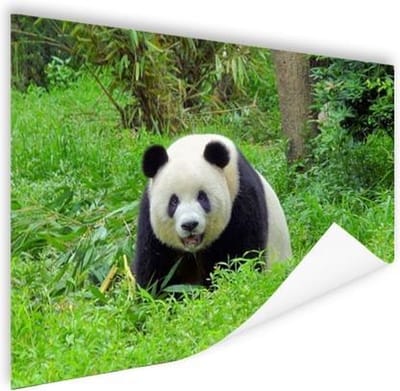 Grote panda in het gras Poster 60x40 cm - Foto print op Poster (wanddecoratie woonkamer / slaapkamer) / Dieren Poster