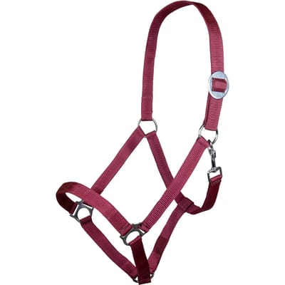 Halster voor paarden HKM Stars Economy