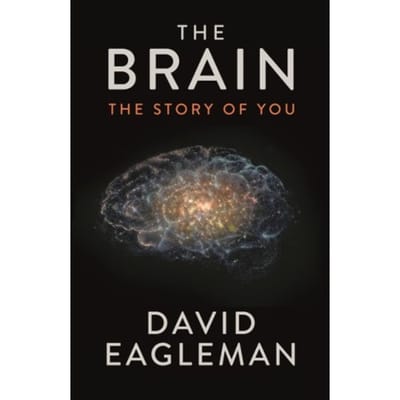 Brain - David Eagleman