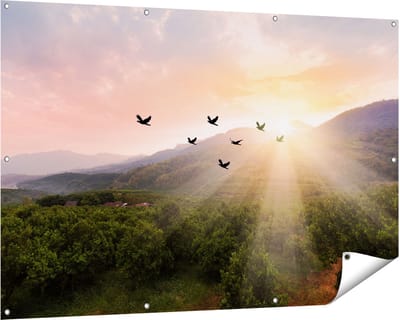 Gards Tuinposter Silhouet Zwerm Vogels bij Zonsondergang - 150x100 cm - Tuindoek - Tuindecoratie - Wanddecoratie buiten - Tuinschilderij