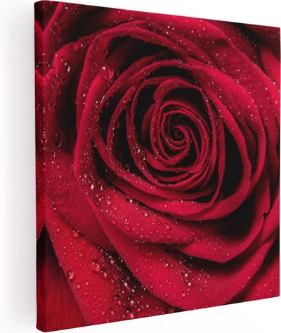 Artaza Canvas Schilderij Rode Roos - 80x80 cm - Wanddecoratie Bloemen - Muurdecoratie Bloem - Schilderijen Op Canvas
