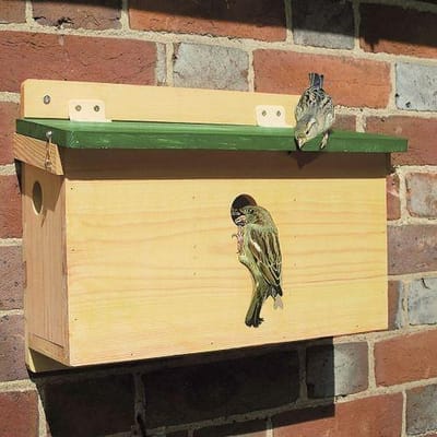 Vogelhuisje Mussen Groen Dak
