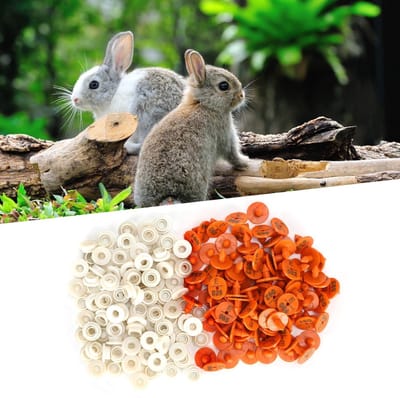 Allecto - Konijnen Oormerk - Identificatie Tags - Duurzaam en Zacht - 100 Sets - Vee Dier Label - Boerderij Benodigdheden - Voor Dieren
