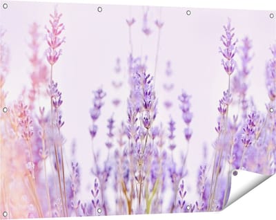 Gards Tuinposter Paarse Lavendel Bloemen - 120x80 cm - Tuindoek - Tuindecoratie - Wanddecoratie buiten - Tuinschilderij