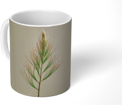 Mok - Koffiemok - Dennentak - Naaldvormige bladeren - Lichtgroen - Mokken - 350 ML - Beker - Koffiemokken - Theemok