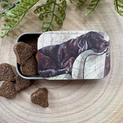 Alex Clark Sliding little Tin Buddy ~ Langwerpig klein opbergblikje Hond