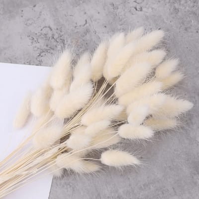 Cosensi- Gedroogde Bloemen 50 Stuks - Lagurus Ovatus - Wit/Roze - Natuurlijke Kleur - 45 cm - Voor Huisdecoratie - Decoratieve Bloemen
