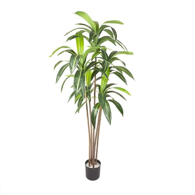 Kunstplant Braziliaanse Ijzerhout 180 cm - Grote Kamerplant