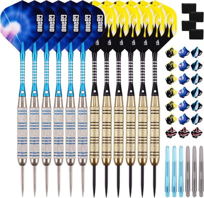 Professionele Steel Darts - 12 Stuks van 20 Gram Metalen Punten