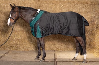 Harry's Horse Staldeken Highliner 300gr Zwart - 130/175