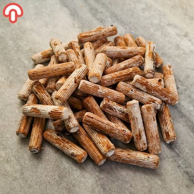 Samzwam Pluggen - Oesterzwam Deuvels - 25 stuks - Kweken in eigen tuin - Zelfvoorzienend Duurzaam Kweken
