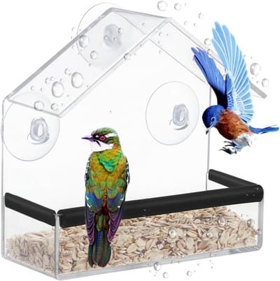 Transparante Vogelvoederhuis voor Raam, Ideaal voor Tuin en Balkon, Met Zuignappen voor Wildvogels zoals Vinken en Blauwe Vogels