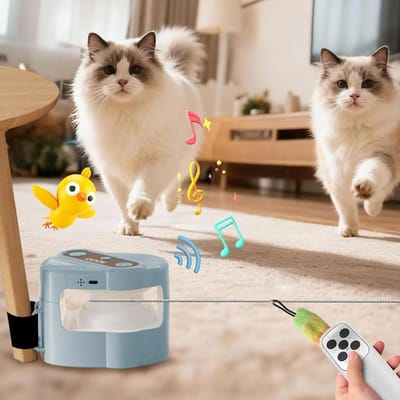 Automatische Loopband - Katten Oefentrainer - Actieve Speltijd - Stille Werking - 24 x 20 x 12 cm - Blauw