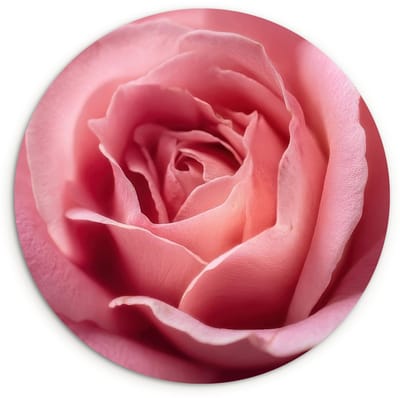 WallCircle® Wandcirkel 120x120 cm - Muurcirkel Roze - Roos - Romantisch - Muurdecoratie woonkamer - Wanddecoratie slaapkamer - Kamer decoratie accessoires - Ronde schilderijen XXL