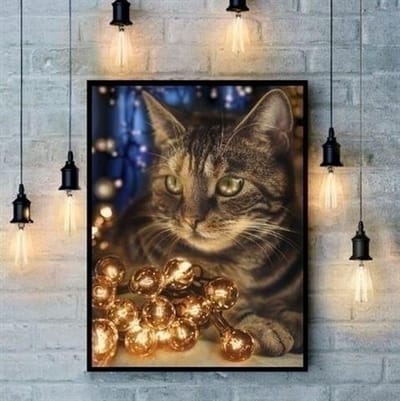 Diamond Painting Fluffy Rascal AZ-1694