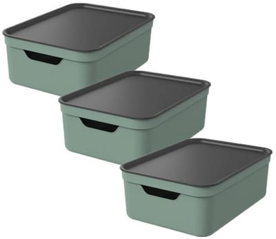 Rotho Jive opbergboxen set van 3 Opbergdozen 10 L met Deksel, Kunststof (PP Gerecycled), Groen /Antraciet, 3 x 10 L, 36,5X26,5X13CM