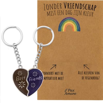 BFF Sleutelhanger voor 2 'Zonder vriendschap mist een dag zijn kleur' - Magnetisch Hartje - VERANDERT VAN KLEUR! - Sleutelhanger set op Cadeau Kaartje - Zilverkleurig - Vriendschap Symbool - Pax Amare