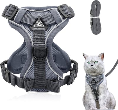 Solidchoice - Verstelbare Kattenharnas met Lijn voor Comfortabele Wandeling
