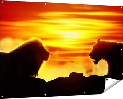 Gards Tuinposter Leeuw en Tijger - Silhouet - Zonsopkomst - 150x100 cm - Tuindoek - Tuindecoratie - Wanddecoratie buiten - Tuinschilderij