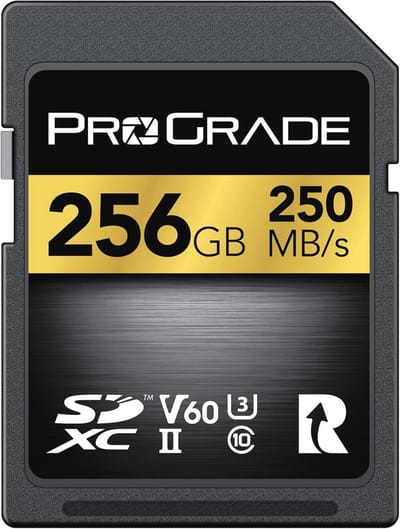 256GB SD UHS-II V60 Geheugenkaart met hoge schrijfsnelheid tot 130MB/s en leessnelheid tot 250MB/s - Voor professionele vloggers, filmmakers, fotografen en contentcuratoren