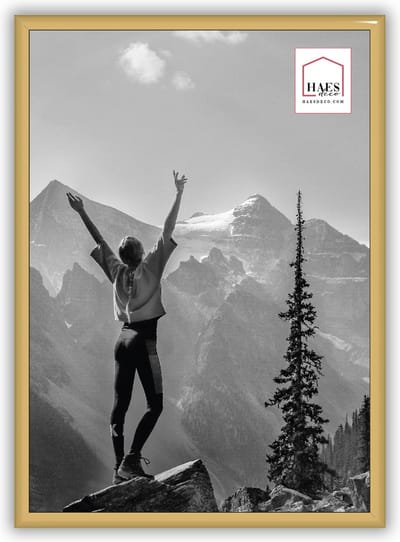 HAES DECO - Kunststof fotolijst A4 / 21x29,7 goud Easy Frame - EF11G