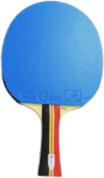 Tibhar Tafeltennisbatje Lilou Massart Allround – Ideaal voor beginners en competitieve starters