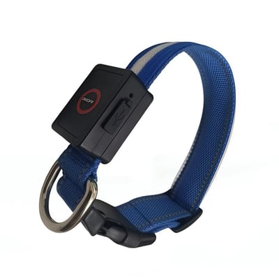 LED-lichthalsband - Honden- en kattenhalsband - USB-oplaadbaar - Nachtlampje - 3 verschillende standen - Veilig - Waterdicht - Verstelbaar - Langdurig gebruik - Geweldig voor huisdieren - Nachtwandelingen - Buiten - Blauw - Maat S