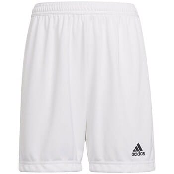 Kinder shorts adidas Entrada 22