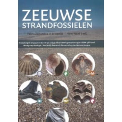 Zeeuwse Strandfossielen