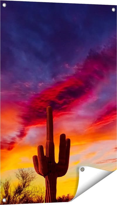 Gards Tuinposter Cactus bij Oranje Zonsondergang - 60x90 cm - Tuindoek - Tuindecoratie - Wanddecoratie buiten - Tuinschilderij