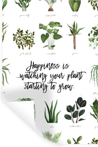 Muurstickers - Sticker Folie - Spreuken - Happiness is... watching your plant starting to grow - Quotes - 20x30 cm - Plakfolie - Muurstickers Kinderkamer - Zelfklevend Behang - Zelfklevend behangpapier - Stickerfolie