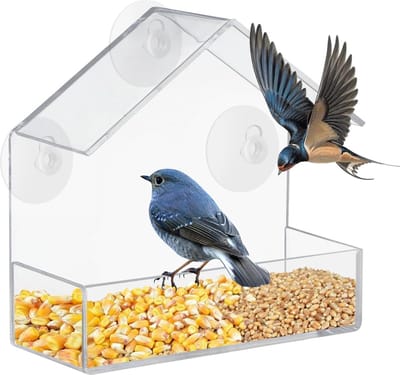 JGS ® Transparante Raamvoederbak voor Vogels met Zuignappen voor Eenvoudige Observatie