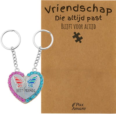 BFF Sleutelhanger voor 2 'Vriendschap die altijd past' - Magnetisch Hartje met Vlinder - Sleutelhanger set op Cadeau Kaartje - Zilverkleurig - Vriendschap Symbool - Pax Amare
