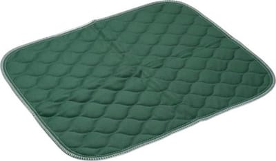 Wasbare stoelbeschermer - Groen- 40 x 50 cm - Incontinentie onderlegger stoel of bed