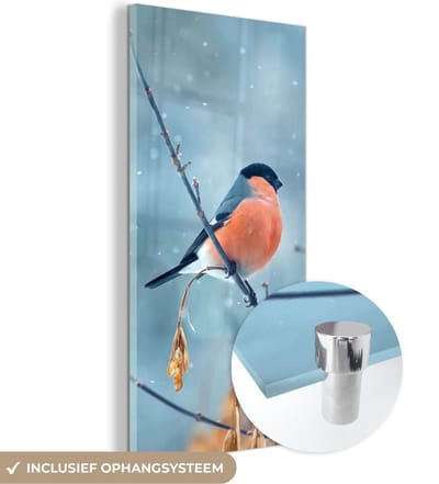 MuchoWow® Glasschilderij 20x40 cm - Schilderij acrylglas - Roodborstje - Vogel - Sneeuw - Herfstbladeren - Foto op glas - Schilderijen