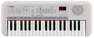 Mini Keyboard voor Kinderen - Compact Draagbaar Toetsenbord met Geweldig Geluid en Quiz Modus