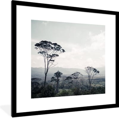 Fotolijst incl. Poster - Bomen - Lucht - Natuur - 40x40 cm - Posterlijst