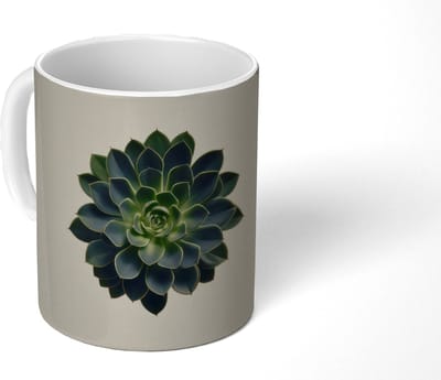 Mok - Koffiemok - Rozet - Cirkelvormig - Donkergroen - Mokken - 350 ML - Beker - Koffiemokken - Theemok