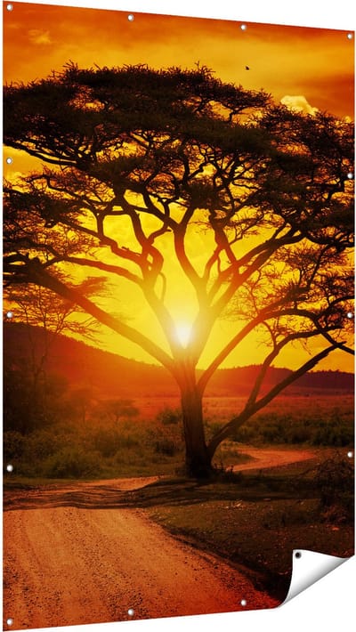 Gards Tuinposter Zonsondergang Achter een Savanne Boom - 120x180 cm - Tuindoek - Tuindecoratie - Wanddecoratie buiten - Tuinschilderij