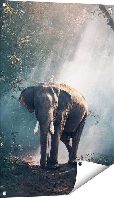 Gards Tuinposter Olifant in het Bos met Zonneschijn - 60x90 cm - Tuindoek - Tuindecoratie - Wanddecoratie buiten - Tuinschilderij