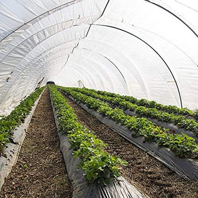 Broeikasfolie 6m breed UV-bestendig voor folietunnels en kassen