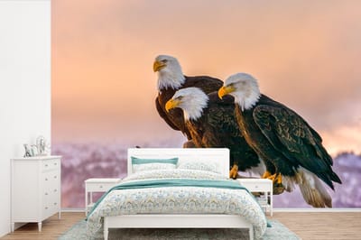 Behang - Fotobehang Vogels - Natuur - Roofvogels - Arend - Breedte 600 cm x hoogte 400 cm