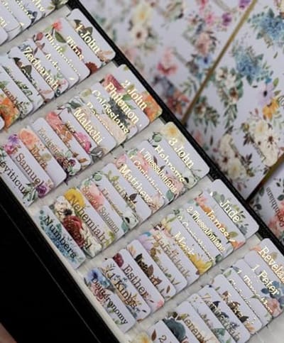 Gelamineerde Bijbel Tabs - 80 Index Tabs voor Oude en Nieuwe Testament met Lege Tabs