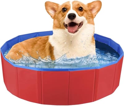 Vouwbare hondenbad voor kleine honden, PVC hondenbad, antislip hondenbad, hondenpool en kinderbad, 50 x 8 cm, ideaal voor thuisgebruik en buitenactiviteiten
