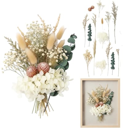Dailygoods- Droogbloemen Set 5-6 Soorten - Kleine Echte Gedroogde Bloemen - Creatieve DIY Decoratie - Natuurlijke Decoratie - Duurzaam en Uniek